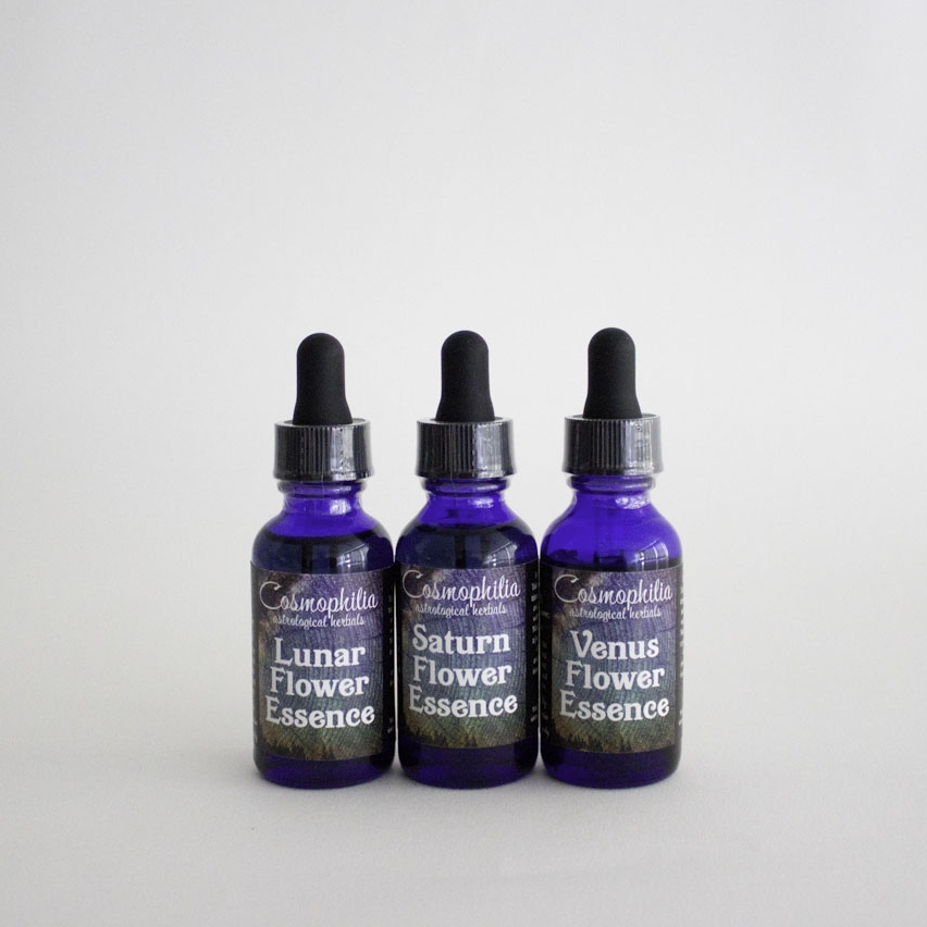 Cosmophilia-FlowerEssence.jpg